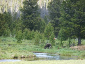 moose and fisherman